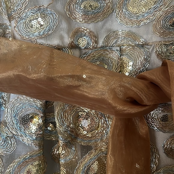 Beautiful, formal girls dress size 14. Isabel Garreton size 12 - Picture 6 of 9